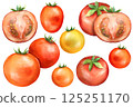 Tomato set illustration 125251170