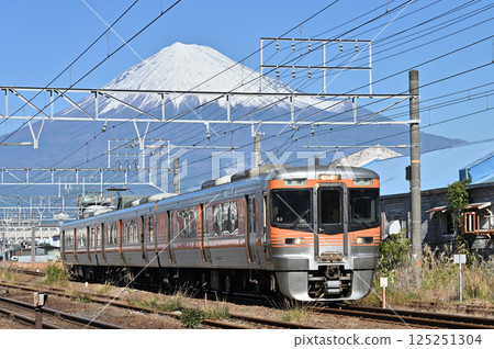 Tokaido Line 313 Series 8000 Mount Fuji Tokaido Line 313 Series 8000 Mount Fuji 125251304