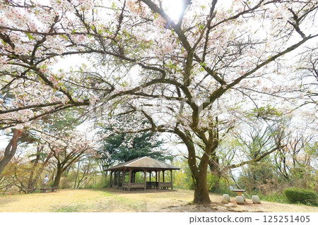 Sakuragaoka Park Former Tama Seiseki Memorial Hall 125251405
