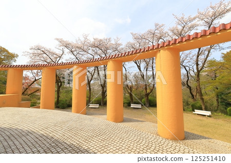 Sakuragaoka Park Former Tama Seiseki Memorial Hall Sakuragaoka Park Former Tama Seiseki Memorial Hall 125251410