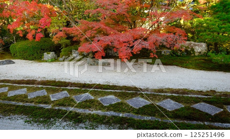 Tenjuan Autumn Leaves Garden Tenjuan Autumn Leaves Garden 125251496
