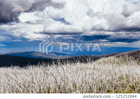 Boundary Hut Trail Lake Mountain Australia 125252044
