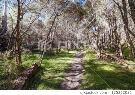 Warrandyte State Reserve in Melbourne Australia Warrandyte State Reserve in Melbourne Australia 125252085