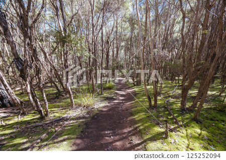 Warrandyte State Reserve in Melbourne Australia 125252094