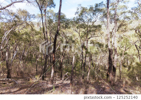 Warrandyte State Reserve Gold Memorial in Melbourne Australia 125252140
