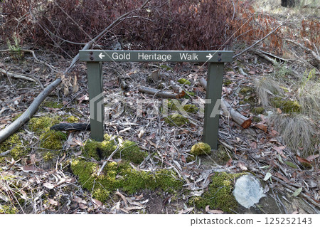 Warrandyte State Reserve Gold Memorial in Melbourne Australia 125252143