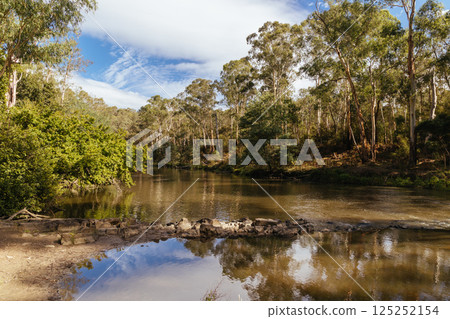 Blue Tongue Bend Walk in Warrandyte Melbourne Australia Blue Tongue Bend Walk in Warrandyte Melbourne Australia 125252154