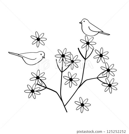 birds on the blooming branches black and white vector illustration birds on the blooming branches black and white vector illustration 125252252
