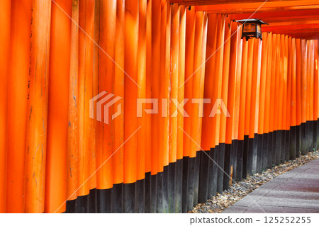 Kyoto Fushimi Inari Taisha Shrine, Senbon Torii (Fushimi Ward, Kyoto City, Kyoto Prefecture) Kyoto Fushimi Inari Taisha Shrine, Senbon Torii (Fushimi Ward, Kyoto City, Kyoto Prefecture) 125252255