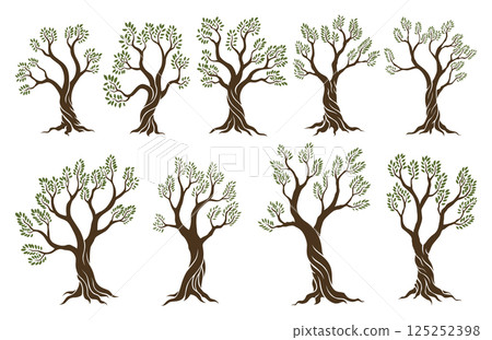 Olive trees set with branches and leaves for design of packaging, label, logotype or banner. Natural organic stylized olive icon, premium quality sign. Vector illustration 125252398