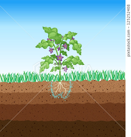 Photosynthesis process. Tree produce oxygen using rain and sun. Diagram showing process of photosynthesis in plant. Colorful biology scheme for education in flat style 125252408