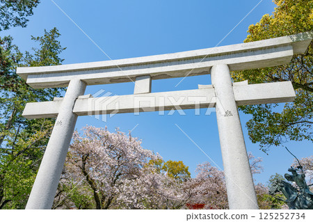 靜岡縣富士宮市富士山本宮淺間大社的春天 靜岡縣富士宮市富士山本宮淺間大社的春天 125252734