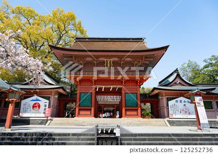 Spring at Mount Fuji Hongu Sengen Taisha Shrine in Fujinomiya, Shizuoka Prefecture 125252736