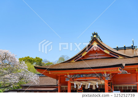 Spring at Mount Fuji Hongu Sengen Taisha Shrine in Fujinomiya, Shizuoka Prefecture 125252739