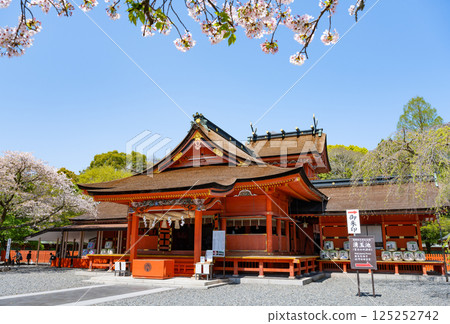 靜岡縣富士宮市富士山本宮淺間大社的春天 125252742