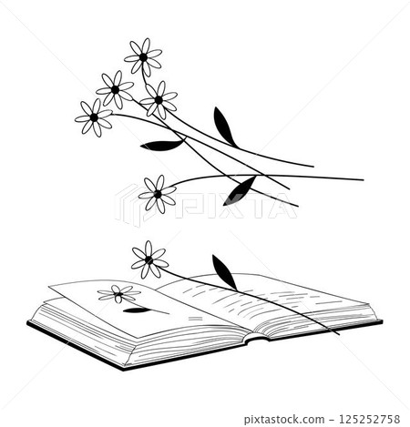 open book with picture of daisy and bouquet of daisy flowers black and white vector illustration 125252758
