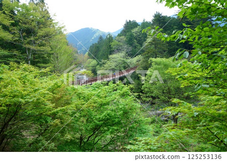 Akigawa Valley and Ishifune Bridge 125253136