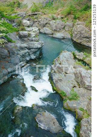 新鮮的綠色秋川谷 125253139