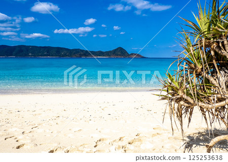 Amami Oshima Sakihara Beach in early summer No.6 125253638