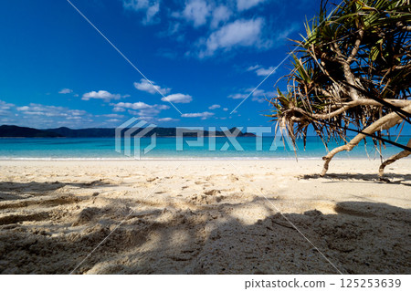 初夏的奄美大島崎原海灘 No.5 初夏的奄美大島崎原海灘 No.5 125253639