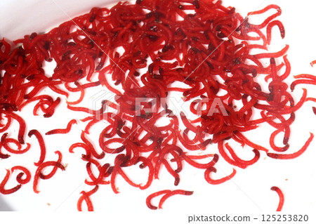 Red beetle 125253820