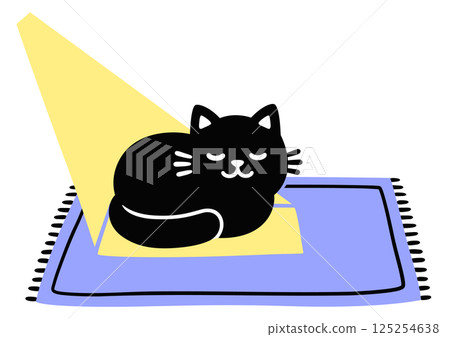 Cute cartoon black cat sleeping in ray of sunlight Cute cartoon black cat sleeping in ray of sunlight 125254638