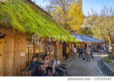 Scenery of Korankei in Toyota City (Aichi Prefecture) enveloped in autumn leaves Scenery of Korankei in Toyota City (Aichi Prefecture) enveloped in autumn leaves 125255284