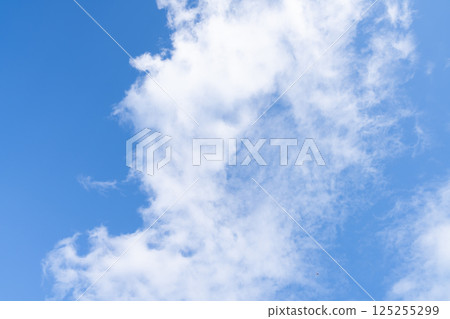 Clouds floating in the blue sky 125255299