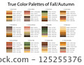 Colour Swatches Combinations 12x6 True Colors of Fall or Autumn - 3d Light Soft, Muted, Pastel Tones - with HEX Codes and Names, Color Palette, Scheme, Chart 125255376