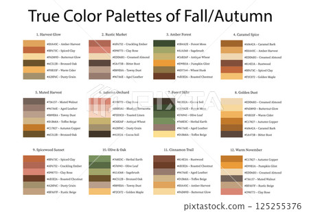 Colour Swatches Combinations 12x6 True Colors of Fall or Autumn - 3d Light Soft, Muted, Pastel Tones - with HEX Codes and Names, Color Palette, Scheme, Chart Colour Swatches Combinations 12x6 True Colors of Fall or Autumn - 3d Light Soft, Muted, Pastel Tones - with HEX Codes and Names, Color Palette, Scheme, Chart 125255376