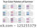 Colour Swatches Combinations 12x6 True Colors of Summer - 3d Light Soft, Muted, Pastel Tones - with HEX Codes and Names, Color Palette, Scheme, Chart 125255379