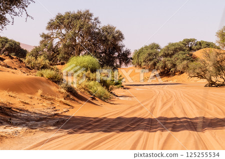 Desert landscape near Sossusvlei Desert landscape near Sossusvlei 125255534