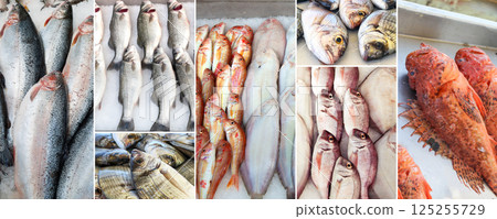 Collage of Fresh Fish Varieties 125255729