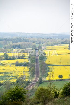 Train tracks surrounded by a field of rapeseed flowers in Denbies Hillside, on the outskirts of London Train tracks surrounded by a field of rapeseed flowers in Denbies Hillside, on the outskirts of London 125255814