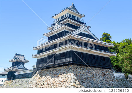 Nakatsu Castle 125256330