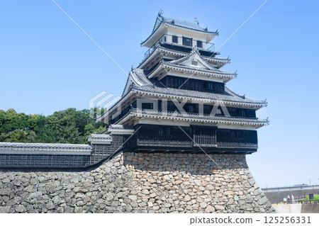 Nakatsu Castle Nakatsu Castle 125256331