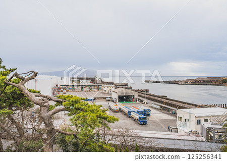 The view from the observation deck at Fuji and Port View Park in Fuji City (Shizuoka Prefecture) 125256341