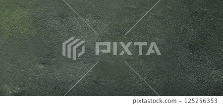 Green Concrete and Olive Paint Wall Texture with Bumpy Stucco Pattern and Modern Finish 125256353