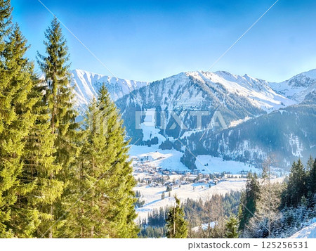 A snowy mountain range with pine trees in the foreground 125256531