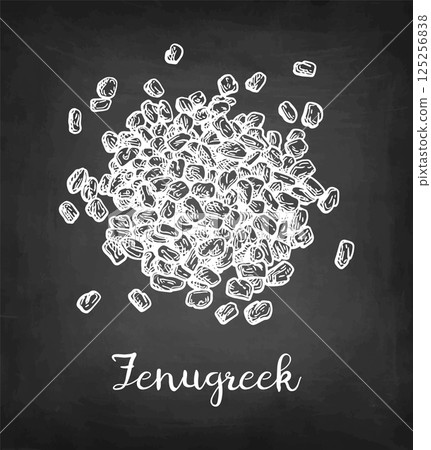 Fenugreek seeds chalk sketch 125256838