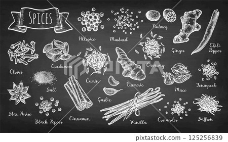 Big set of spices. Chalk sketch. 125256839