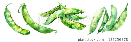 Set of fresh vegetable, green pea in watercolor style isolated on a transparent background. Set of fresh vegetable, green pea in watercolor style isolated on a transparent background. 125256878