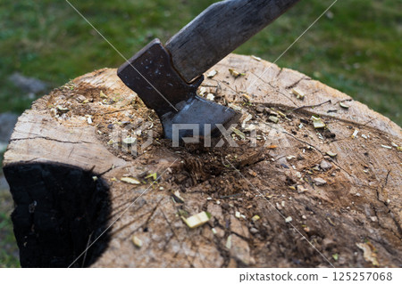 The axe is hammered into an oak block. Axe is stuck in the deck The axe is hammered into an oak block. Axe is stuck in the deck 125257068