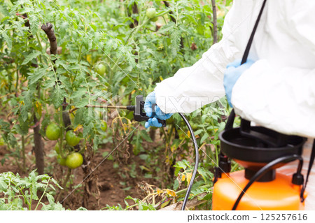 Herbicide spraying. Non-organic vegetables. Herbicide spraying. Non-organic vegetables. 125257616