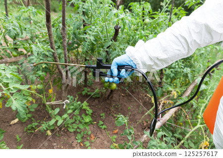 Herbicide spraying. Non-organic vegetables. 125257617
