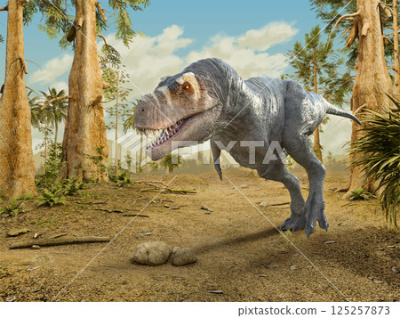 Tyrannosaurus rex walking 125257873