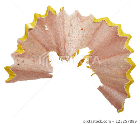 Curled yellow pencil shaving on isolated background. Close up 125257889