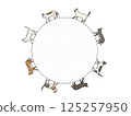 Set of short-haired cats walking in a circle 125257950