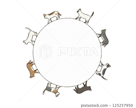 一組短毛貓繞圈行走 一組短毛貓繞圈行走 125257950