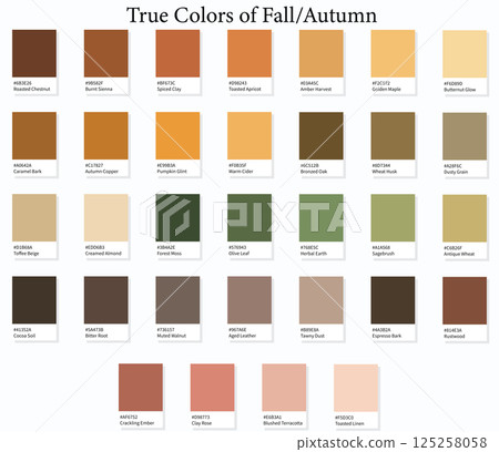 Colour Swatches 32 True Colors of Fall or Autumn - 3d Light Soft, Muted, Pastel Tones - with HEX Codes and Names, Color Palette, Scheme, Chart and Combinations Colour Swatches 32 True Colors of Fall or Autumn - 3d Light Soft, Muted, Pastel Tones - with HEX Codes and Names, Color Palette, Scheme, Chart and Combinations 125258058